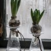 Lökvas Bubblig Glas - Ernst - Bild 2